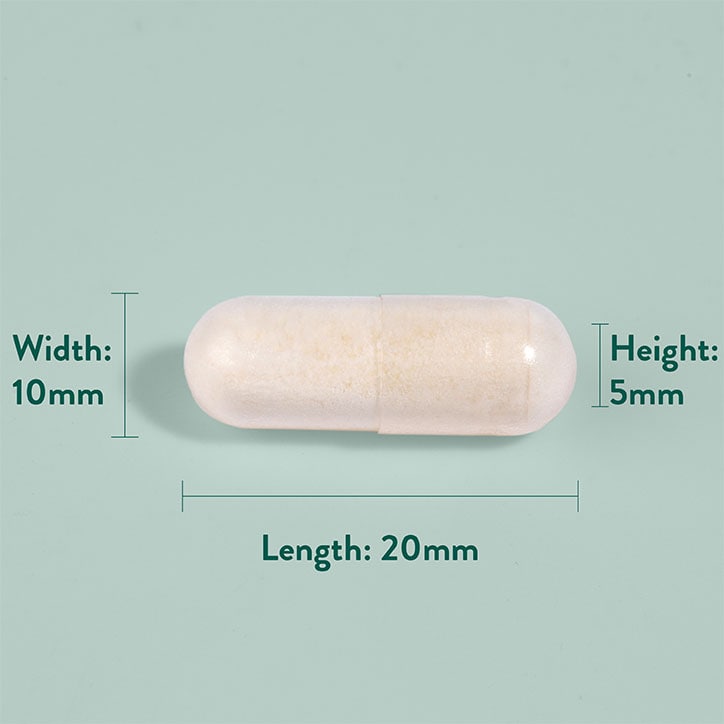 Holland & Barrett Live Friendly Bacteria 20 Billion 60 Capsules
